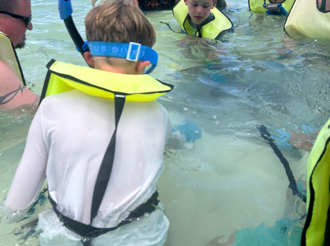 Sting ray Adventure-Little San Salvador Island (Half Moon Cay)必去景点