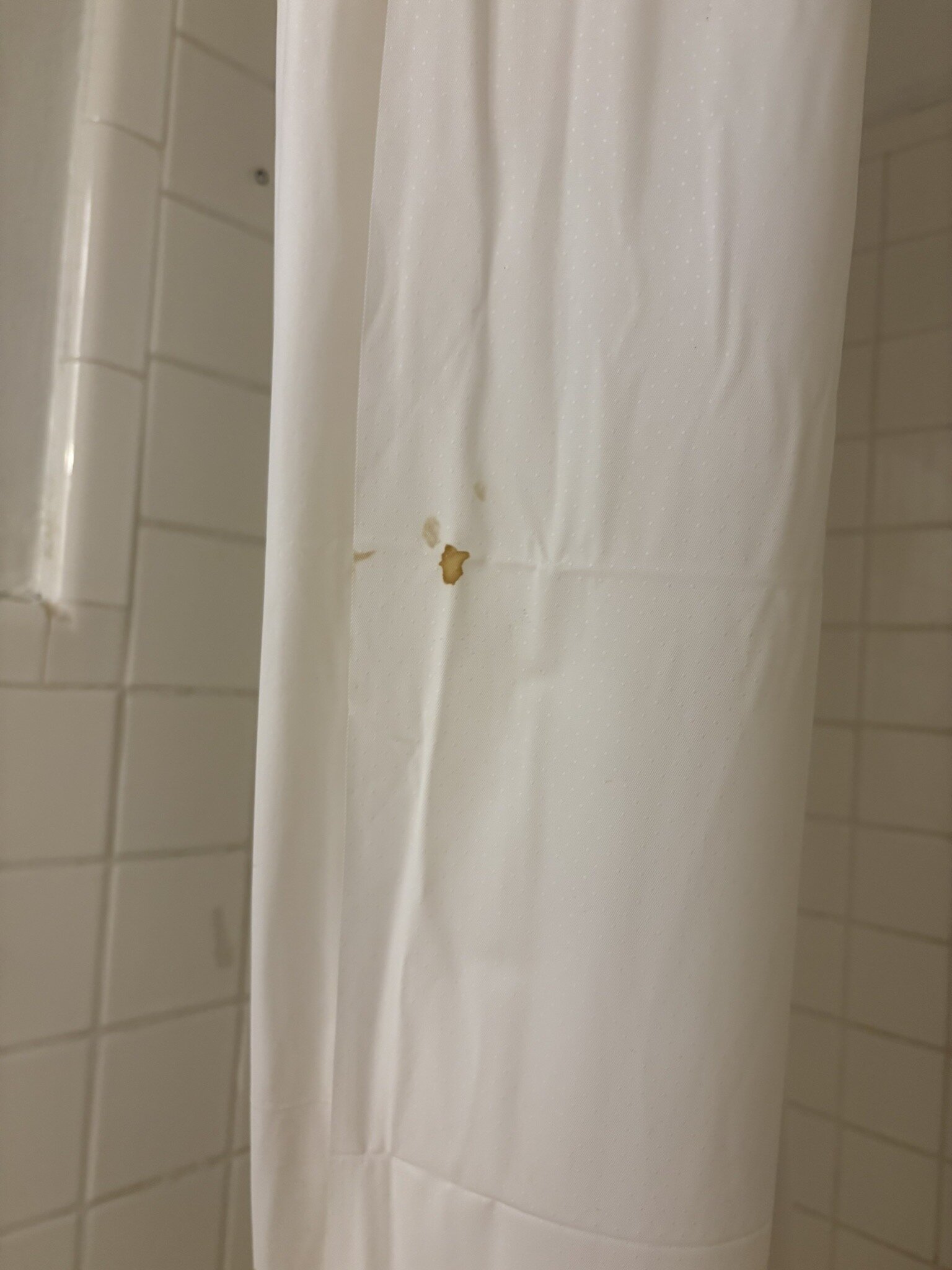 Rodeway Inn & Suites-官方