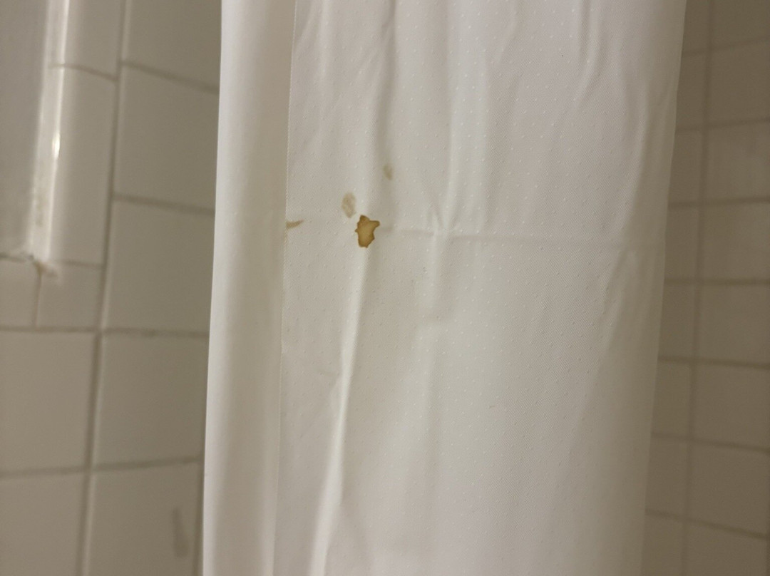 Rodeway Inn & Suites主图