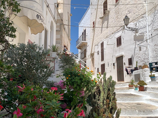 Salento in Movimento - Tour and Transfer-加里波利必去景点