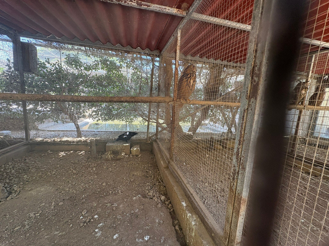 Birdpark Malta-Salina必去景点