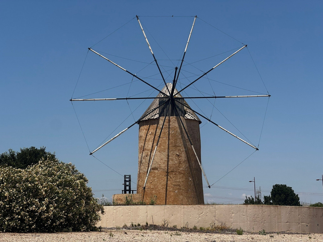 Molino de Los Camachos-Torre-Pacheco必去景点