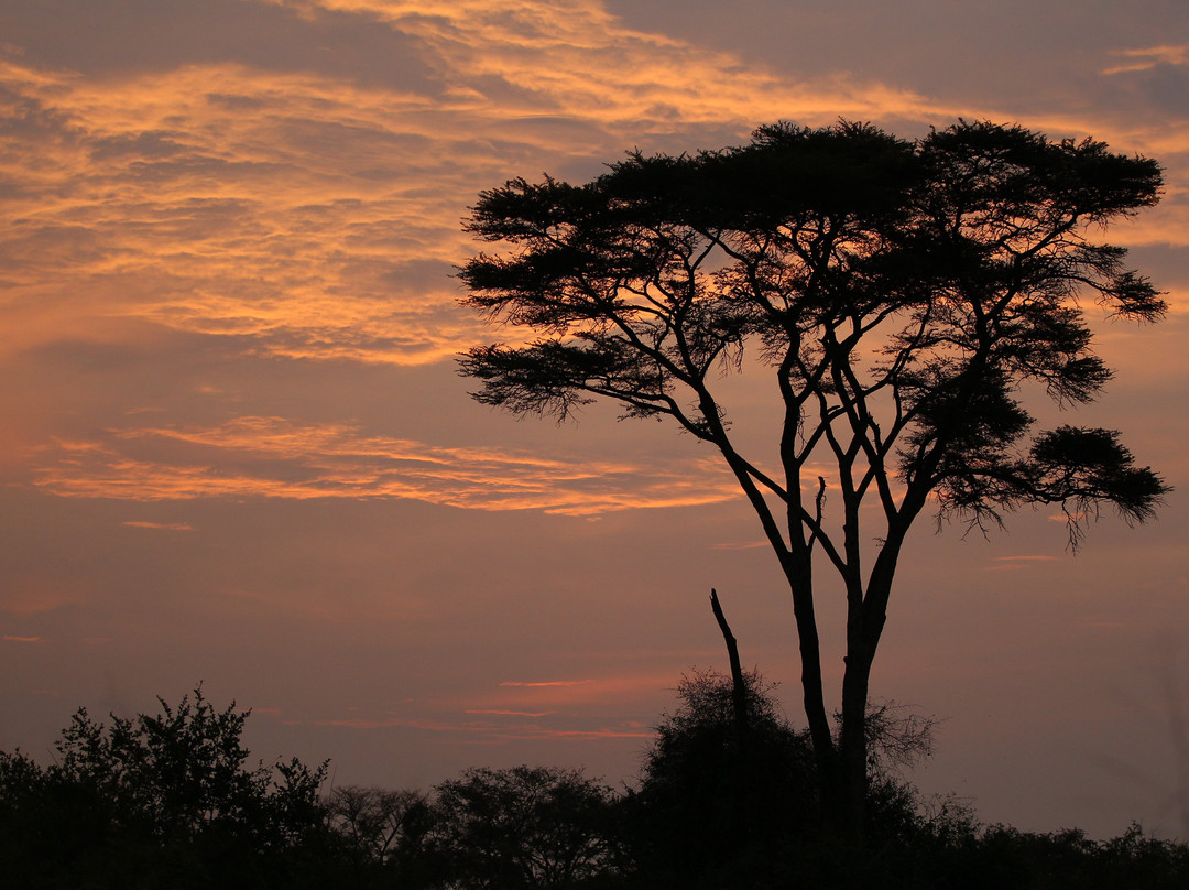 Rwanda Gorilla Trek - Day Tours-Huye必去景点