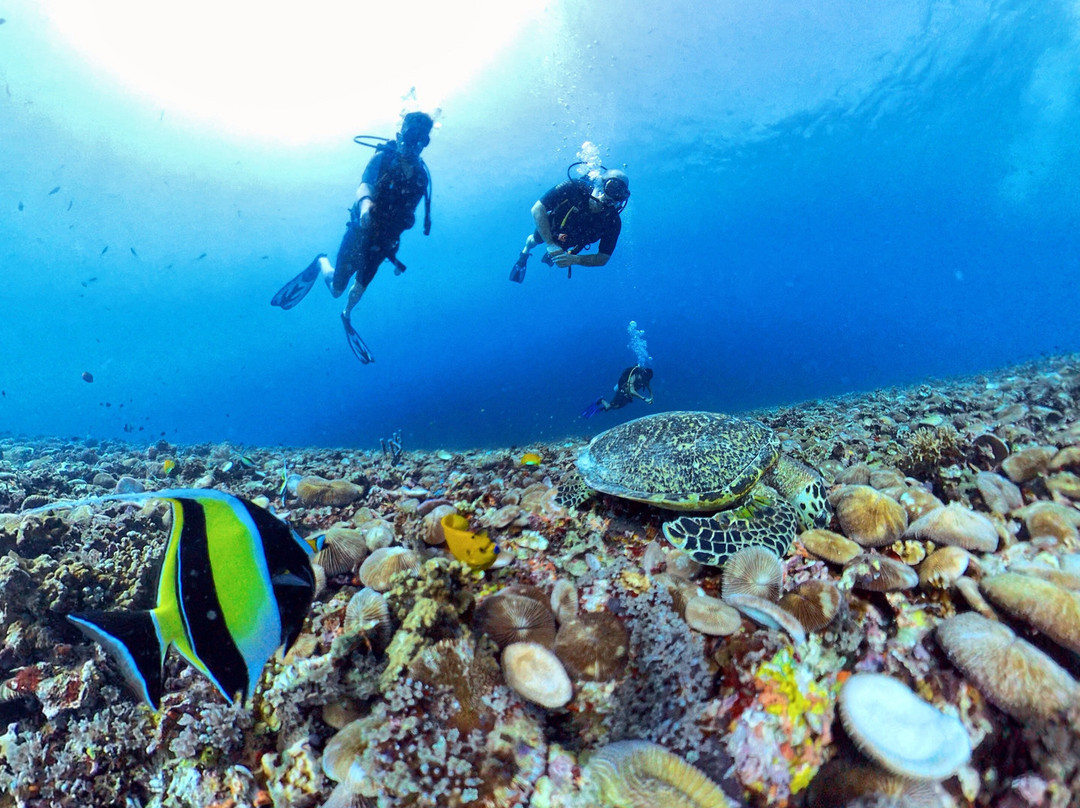 Scuba Froggy - Senggigi-Senggigi必去景点