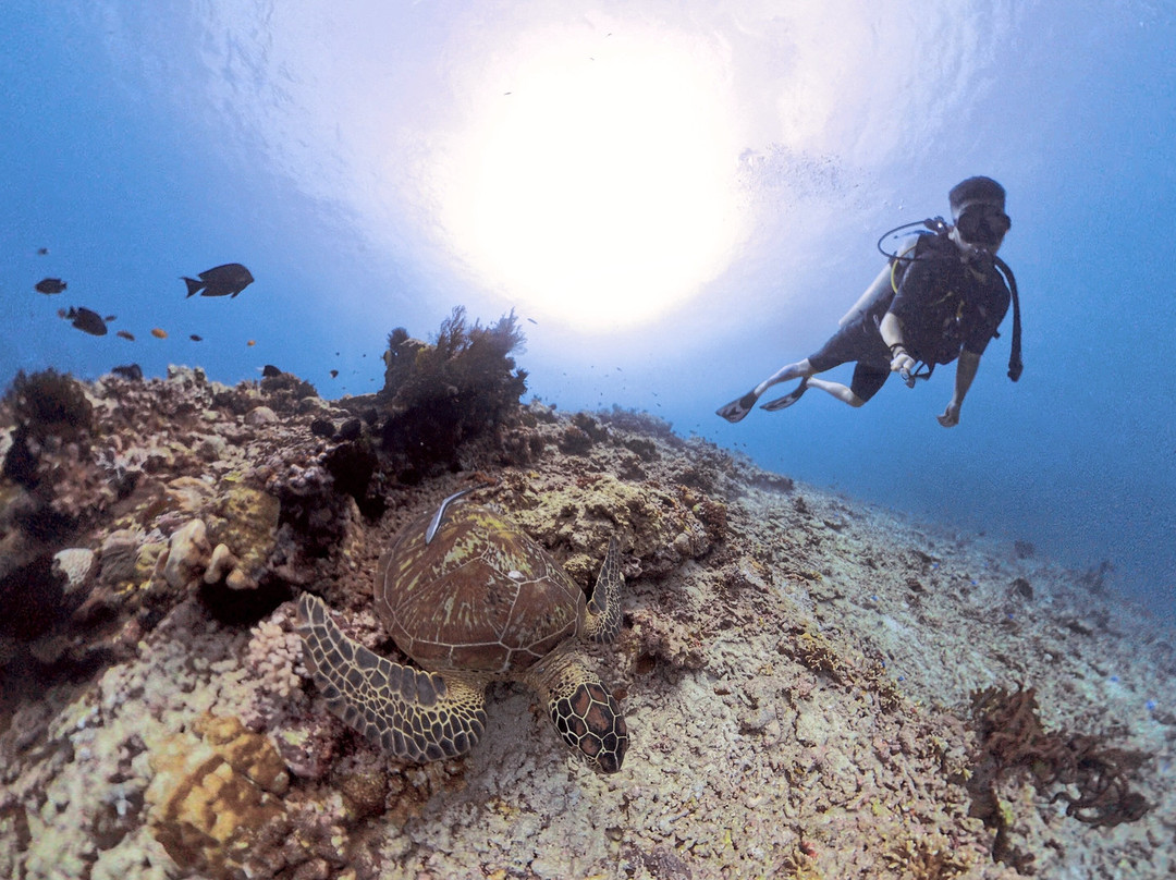Scuba Froggy - Senggigi-Senggigi必去景点
