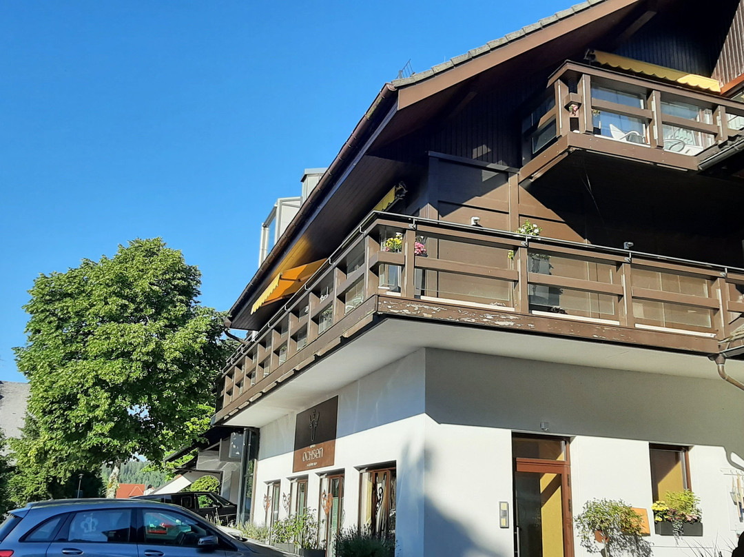 Hotel Zum Ochsen主图