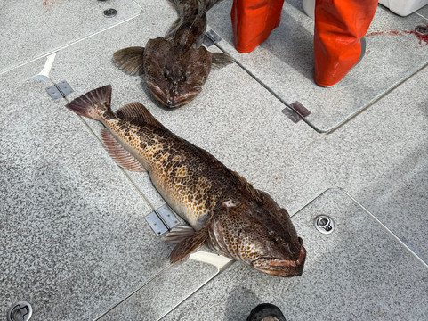 Crackerjack Sportfishing Charters-苏厄德必去景点