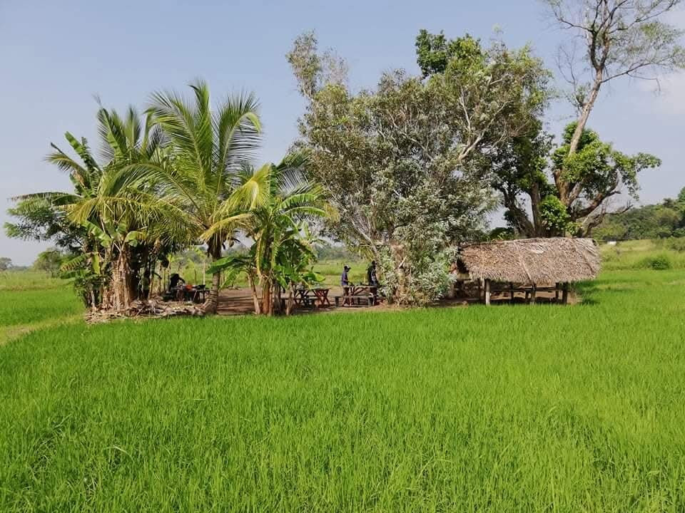 Harshana Tours-坎达拉马必去景点