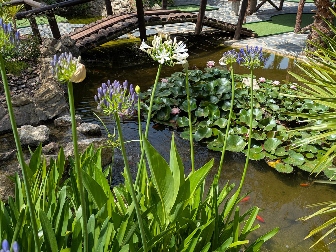 Minigolf Carmanso-艾姆布里亚布拉瓦必去景点