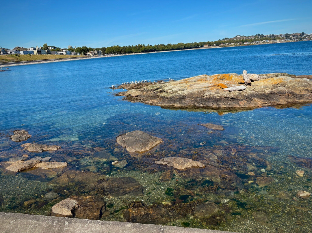 Clover Point Park-维多利亚必去景点