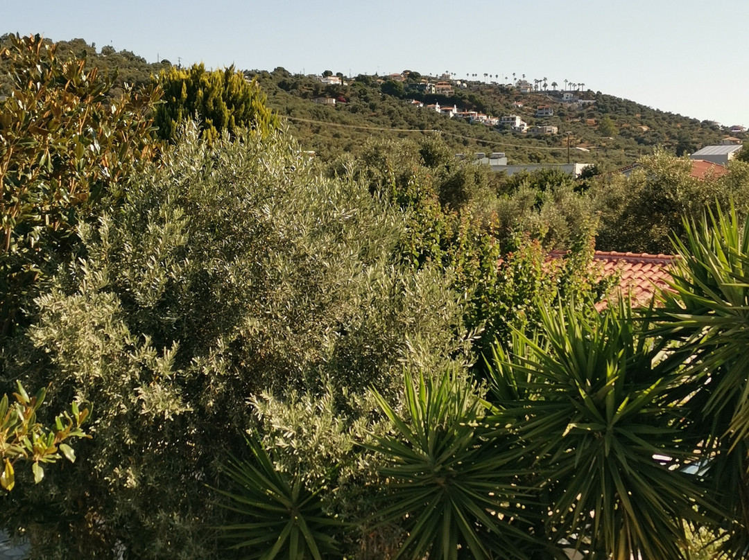 Skiathos Holiday House主图