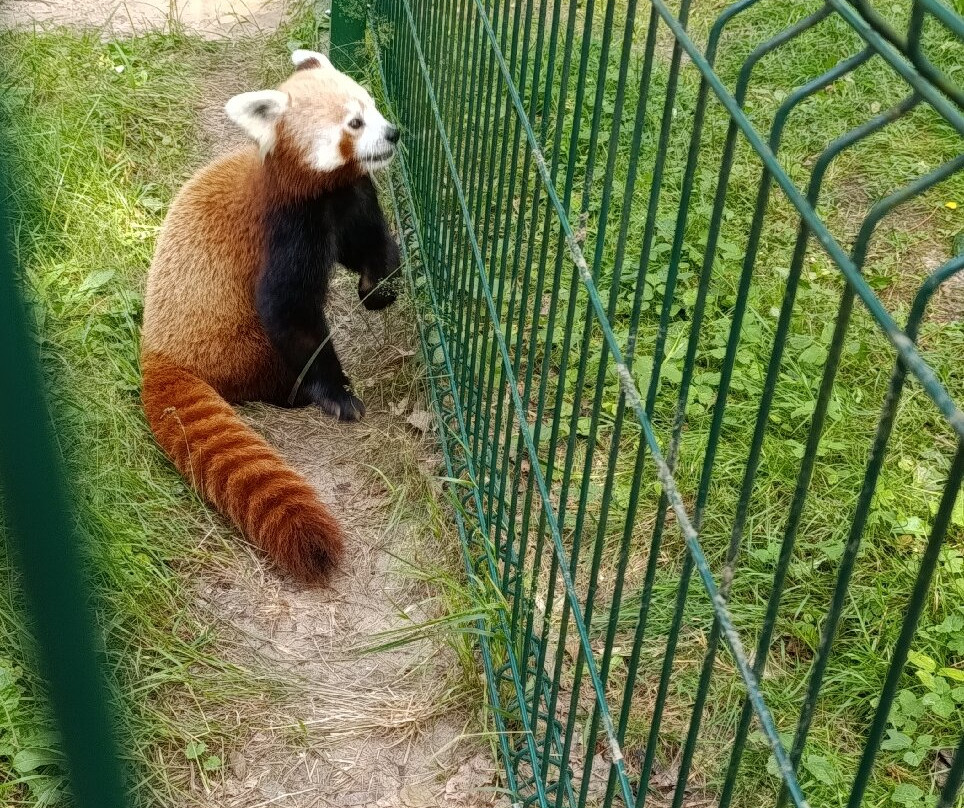 Oliwa Zoo-格但斯克必去景点