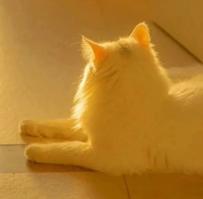 昆明惠玥温德姆酒店主图