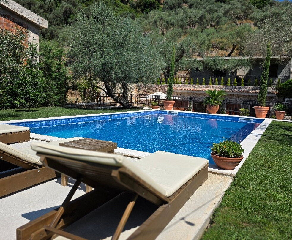 OLIVE QUEEN DOO-Stari Bar必去景点