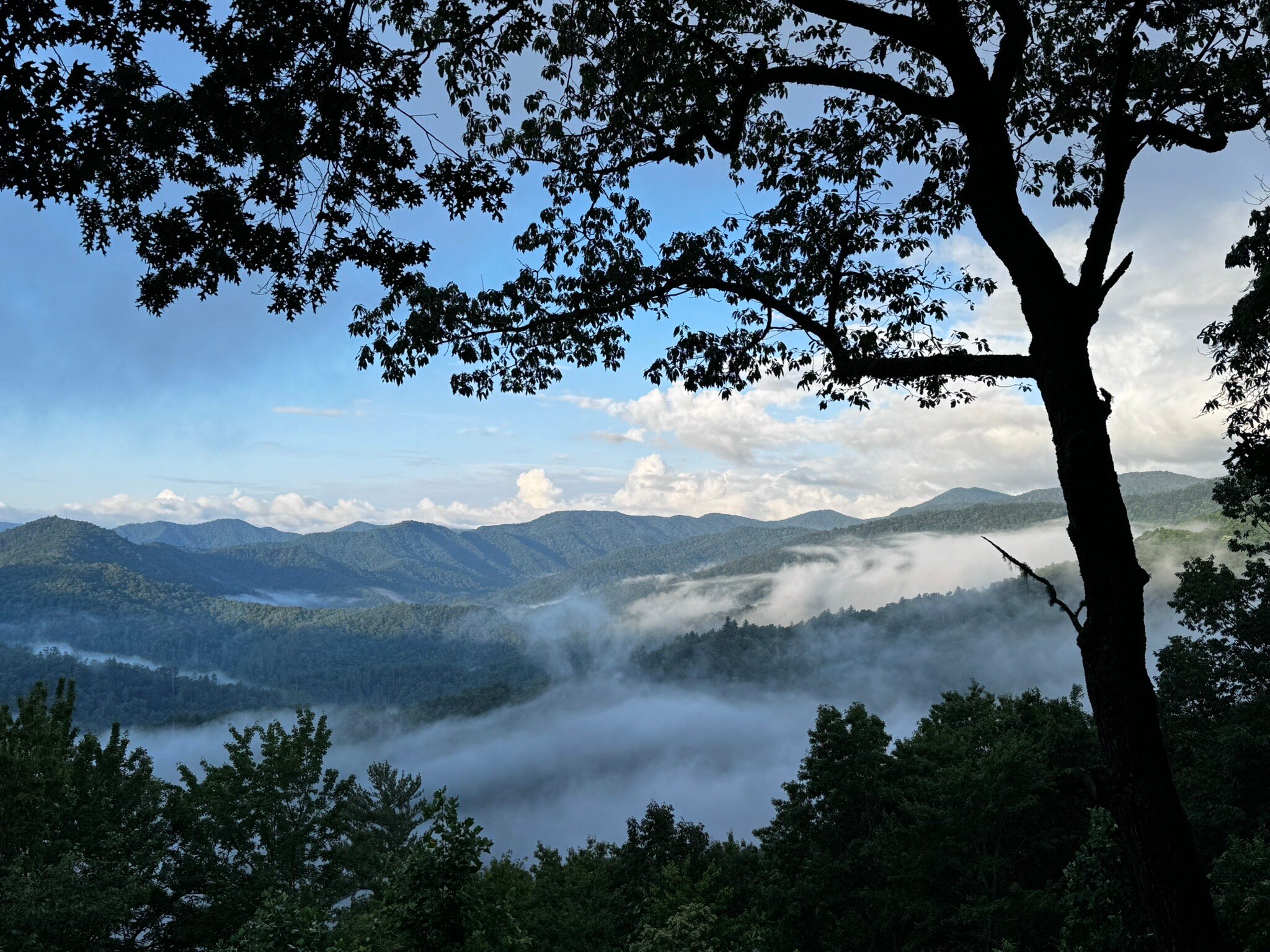 Snowbird Mountain Lodge-官方