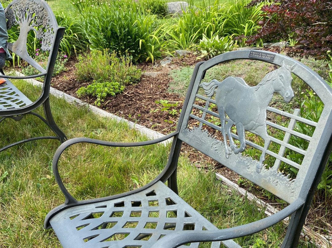 The Brigus Tunnel-Brigus必去景点