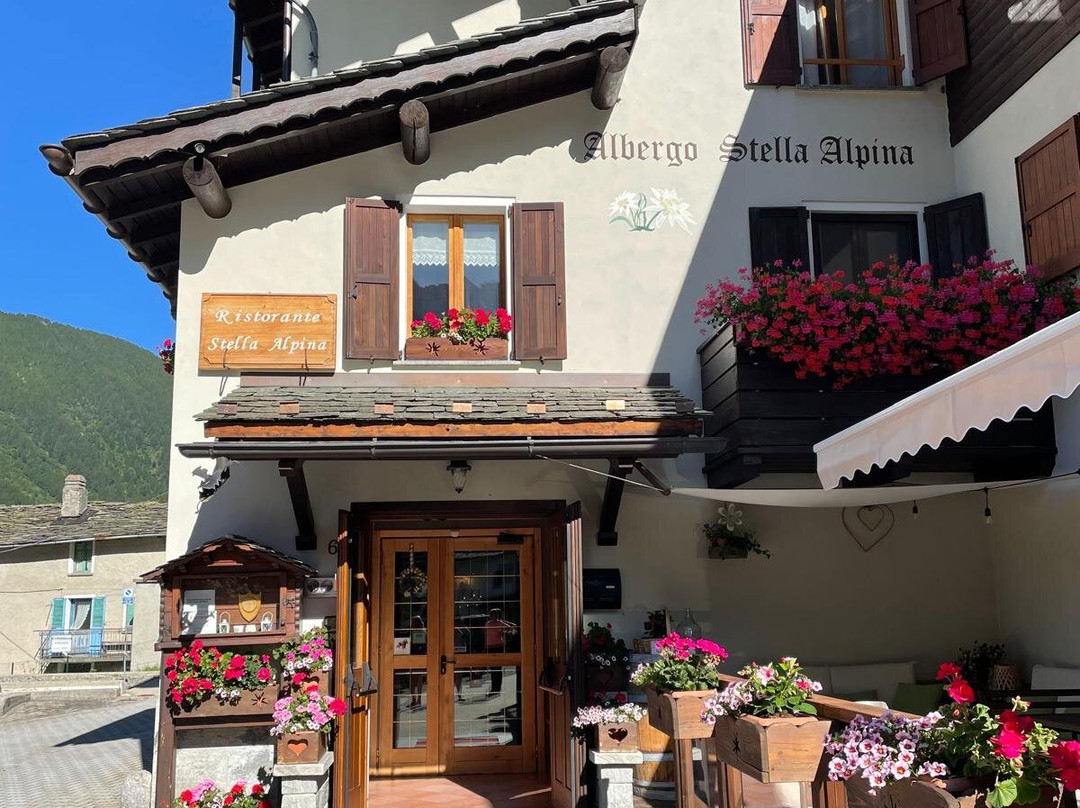Albergo Stella Alpina主图