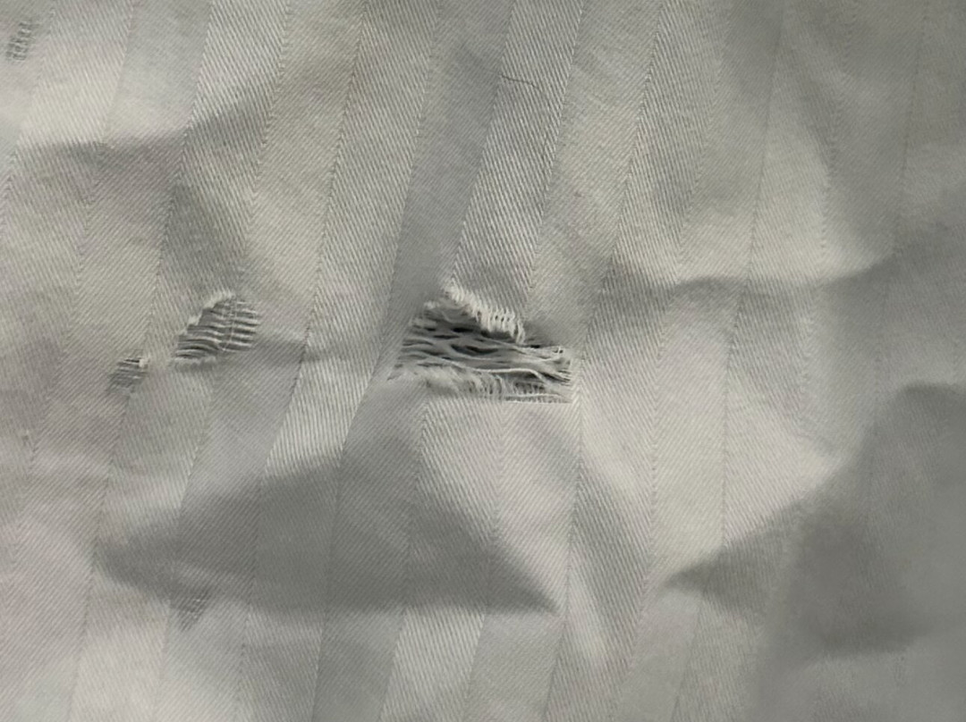 贝斯特韦斯特圣安东尼奥海洋世界酒店主图