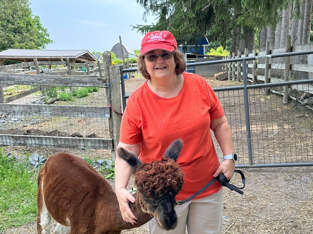 Old Mill Alpacas-Colborne必去景点