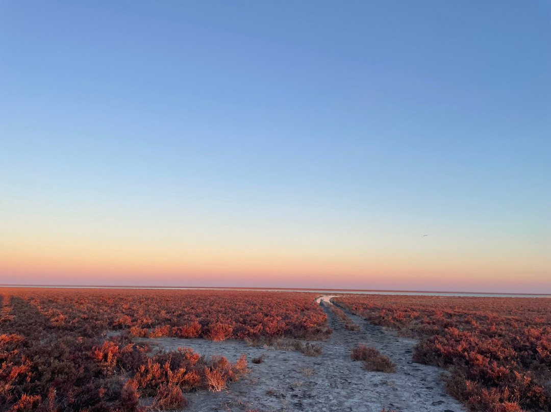 Broome Bird Observatory-布鲁姆必去景点