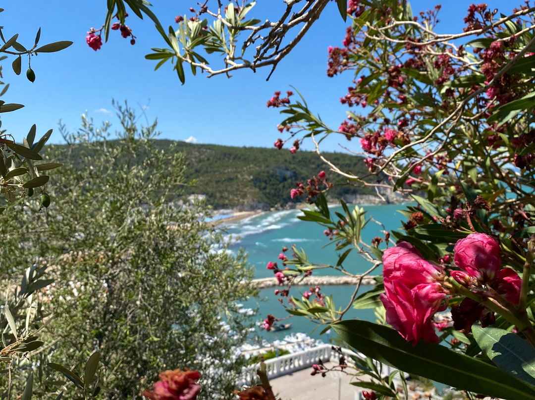 Castello di Peschici-佩斯基奇必去景点