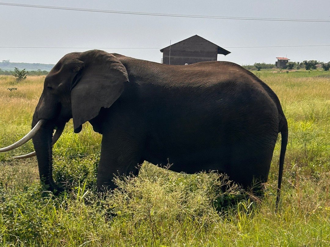 Aardvark Safari Lodge主图