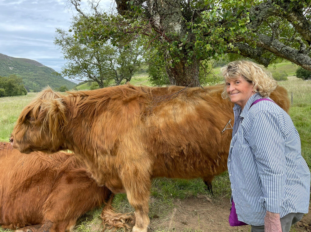Spey River Farm-Newtonmore必去景点
