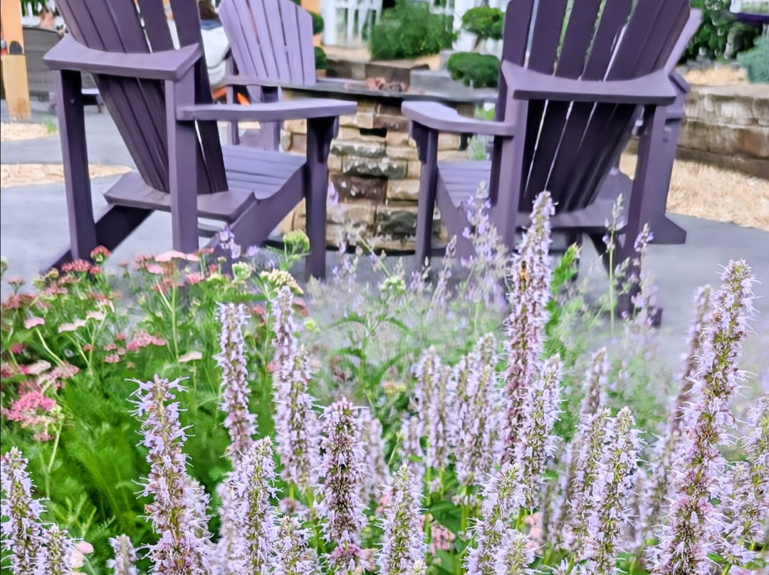 White Oak Lavender Farm & The Purple WOLF Tasting Room-哈里森堡必去景点