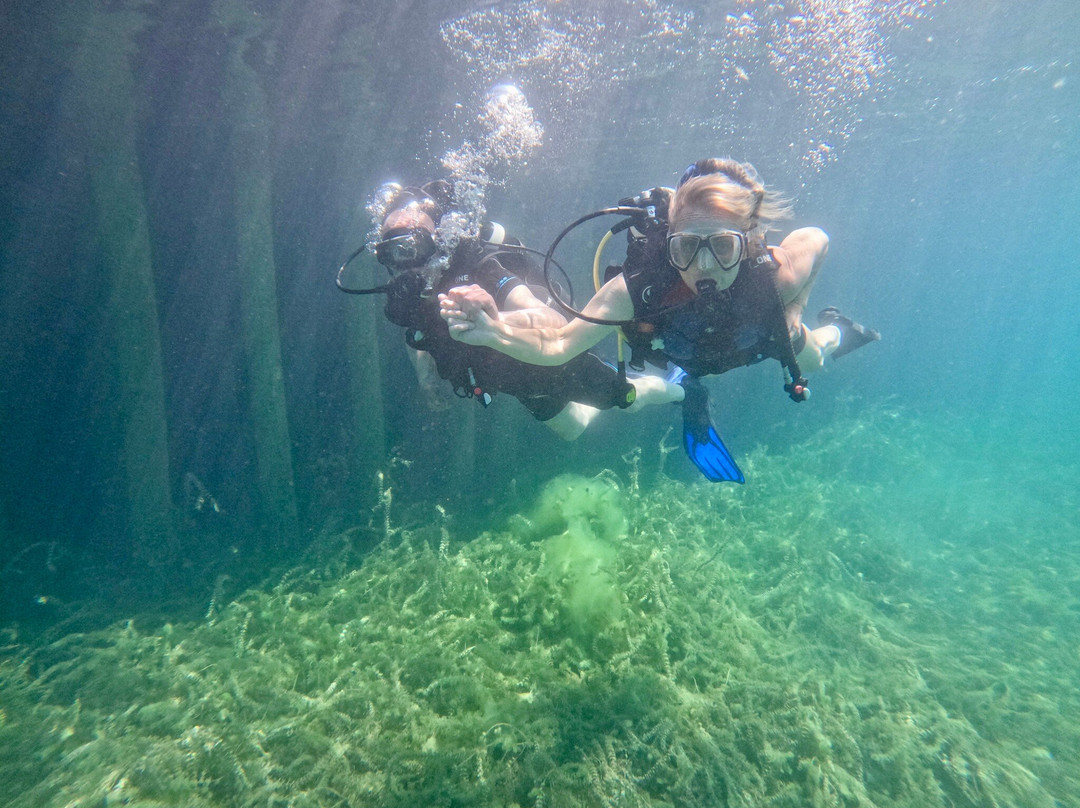 Diving Center Amfora-奥赫里德必去景点