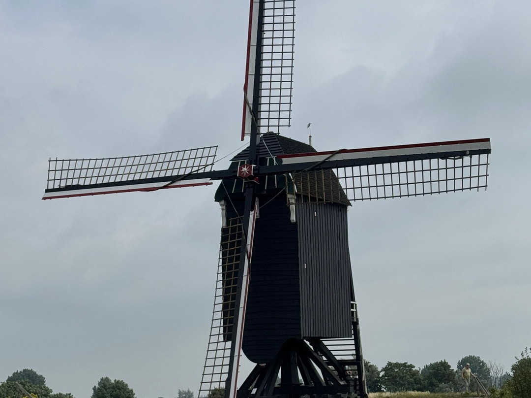 Heusder Walmolens-Heusden必去景点