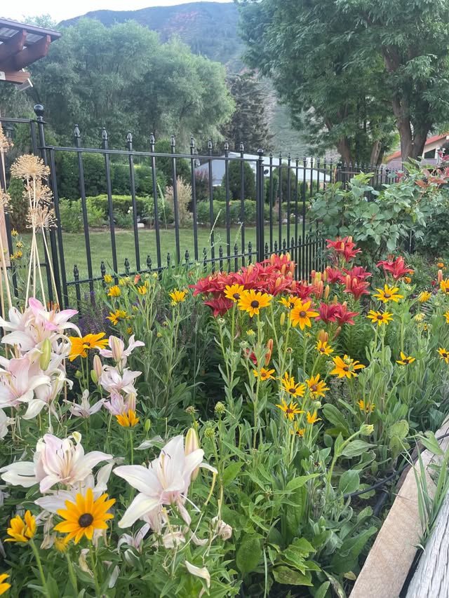 锡达小屋汽车旅馆-官方