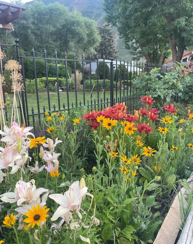 锡达小屋汽车旅馆主图