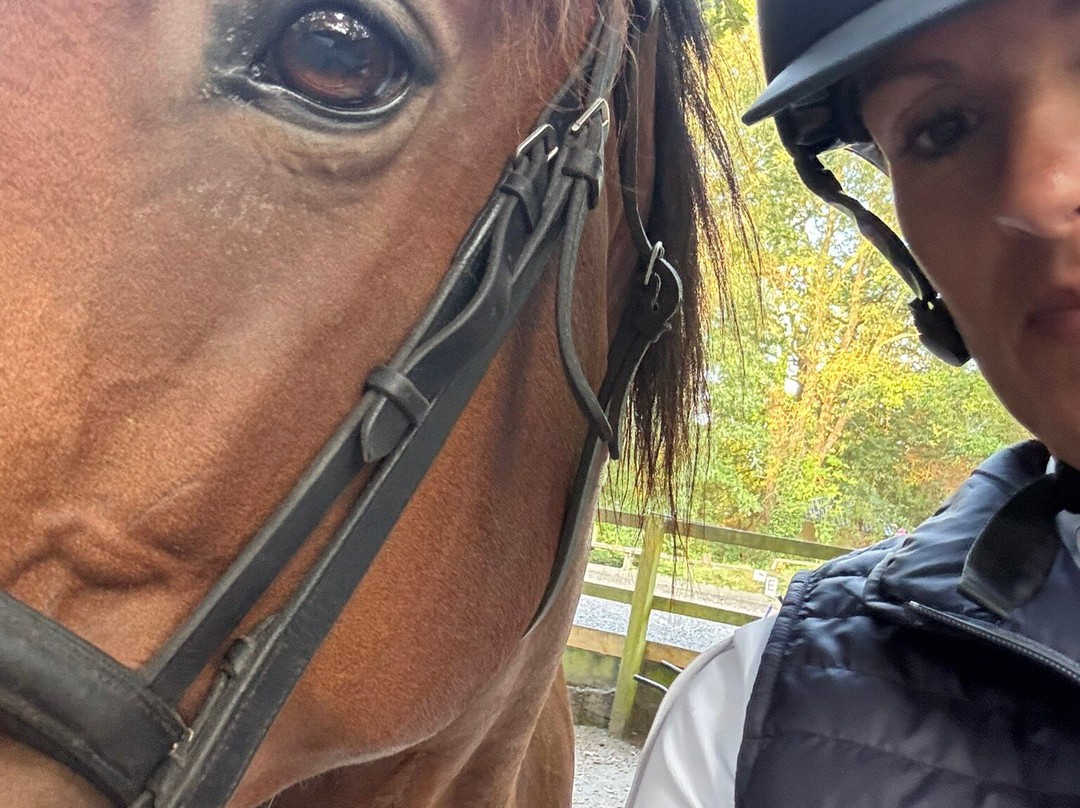 Budleigh Salterton Riding School-Budleigh Salterton必去景点