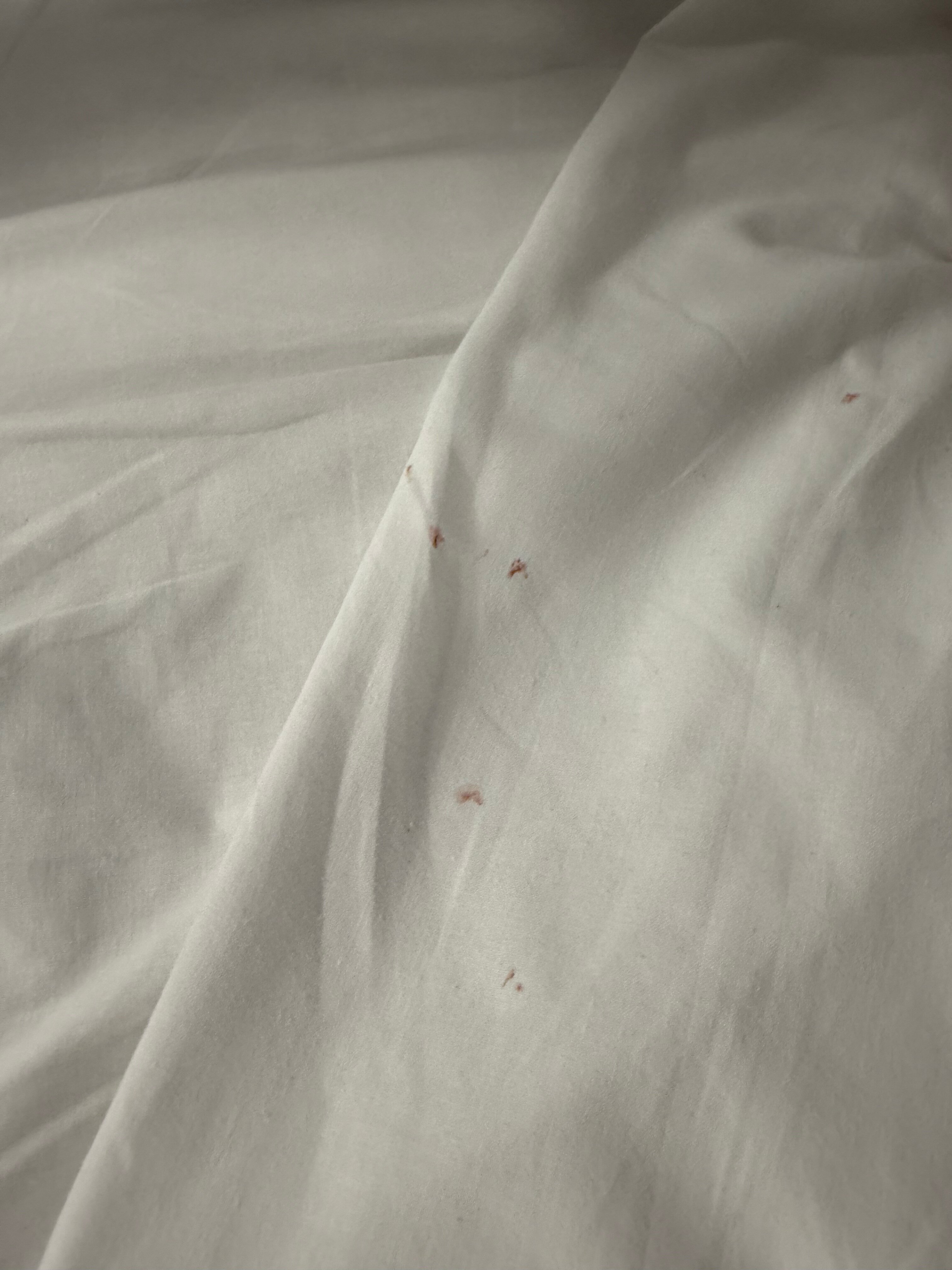 仙人掌酒店-官方