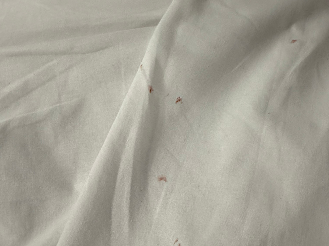 仙人掌酒店主图