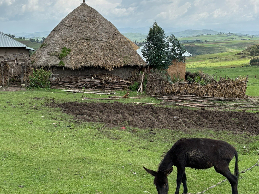 myGuzo-亚的斯亚贝巴必去景点