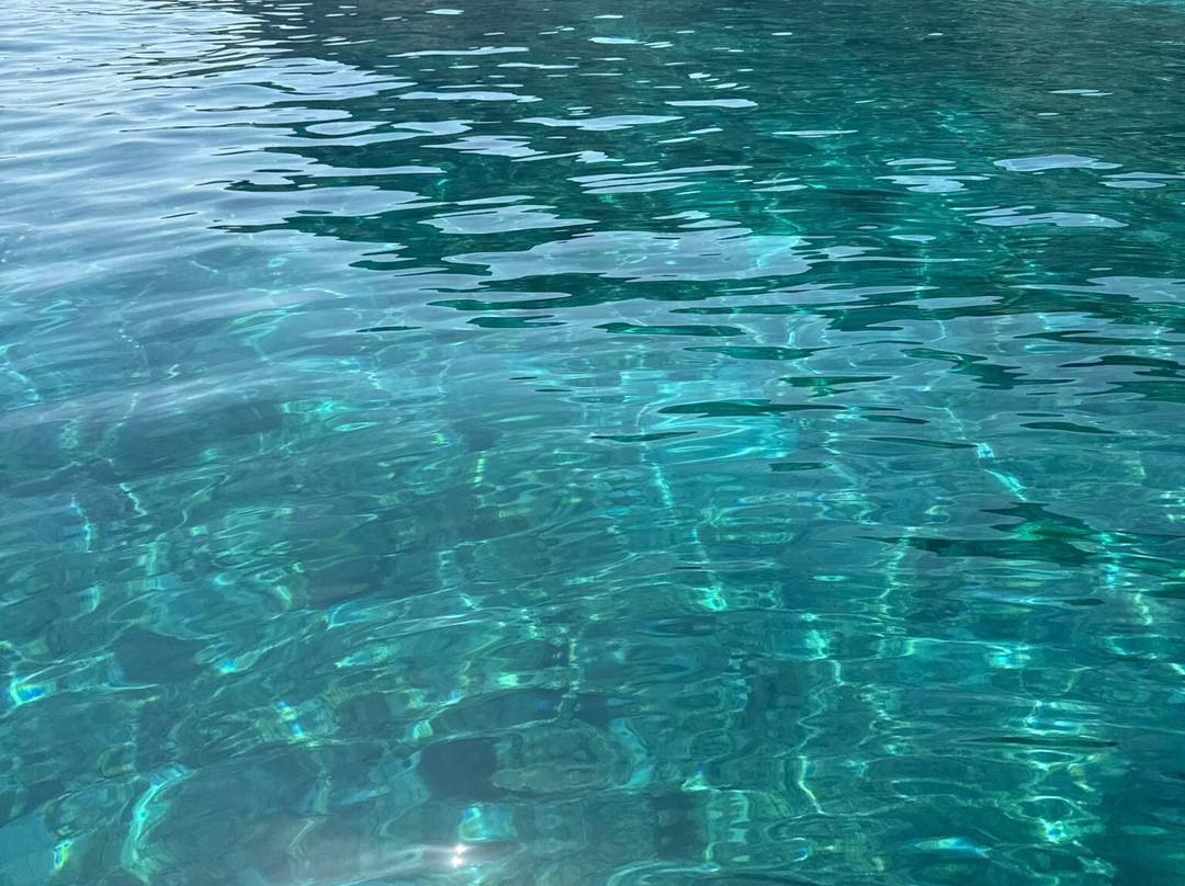 NOTOS MARE MARINE ADVENTURES-干尼亚必去景点