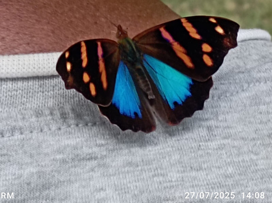 Reserva Natural Nirvana-Palmira必去景点