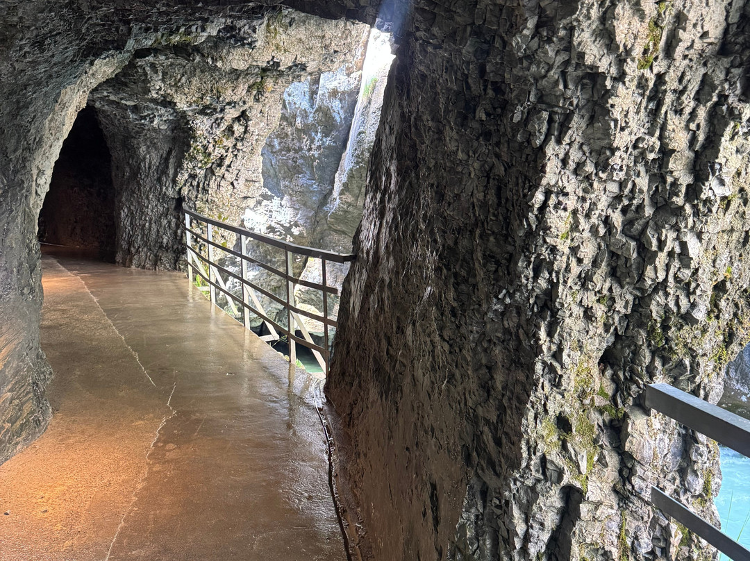 Happy Tour Switzerland-因特拉肯必去景点