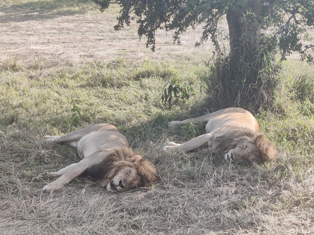 Ajkenyasafaris.com Ltd-Ruiru必去景点