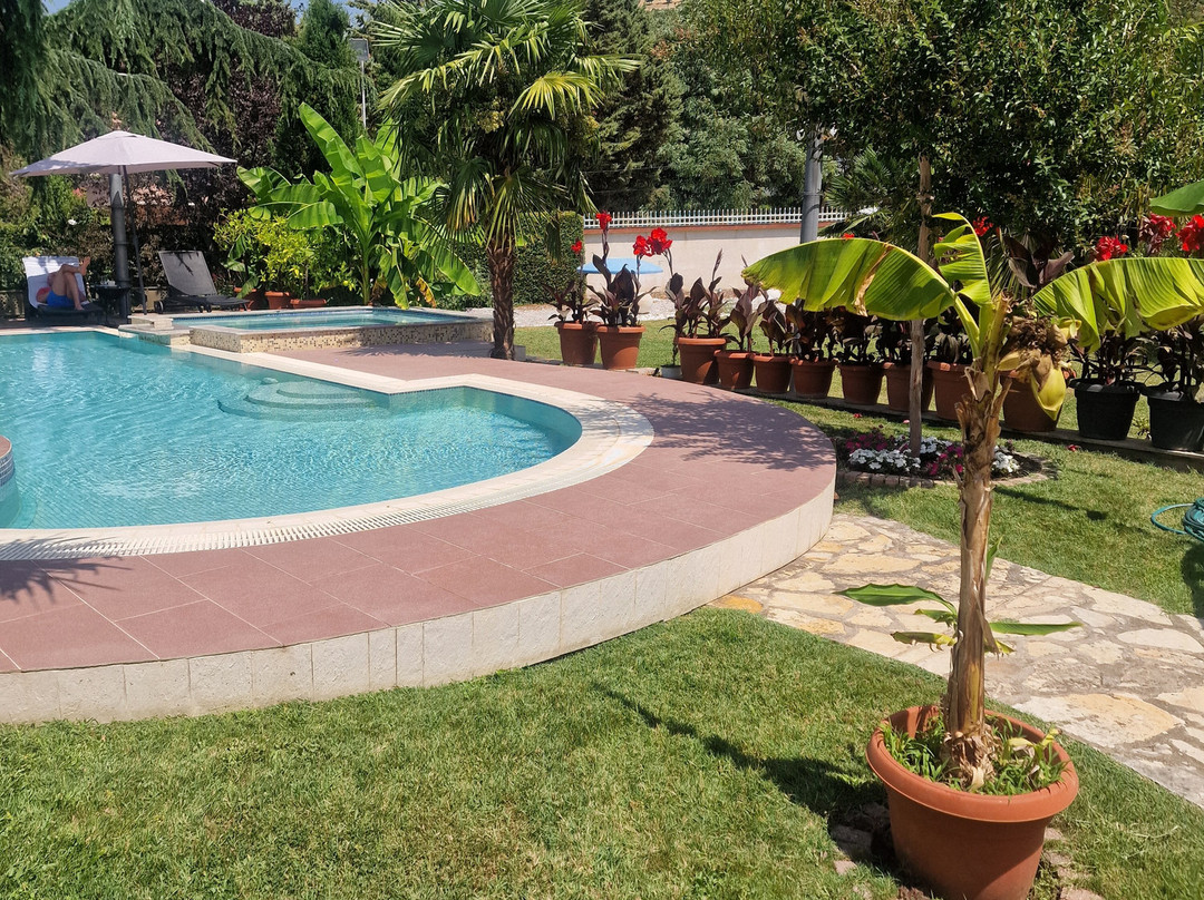 亚历山大别墅及水疗酒店主图