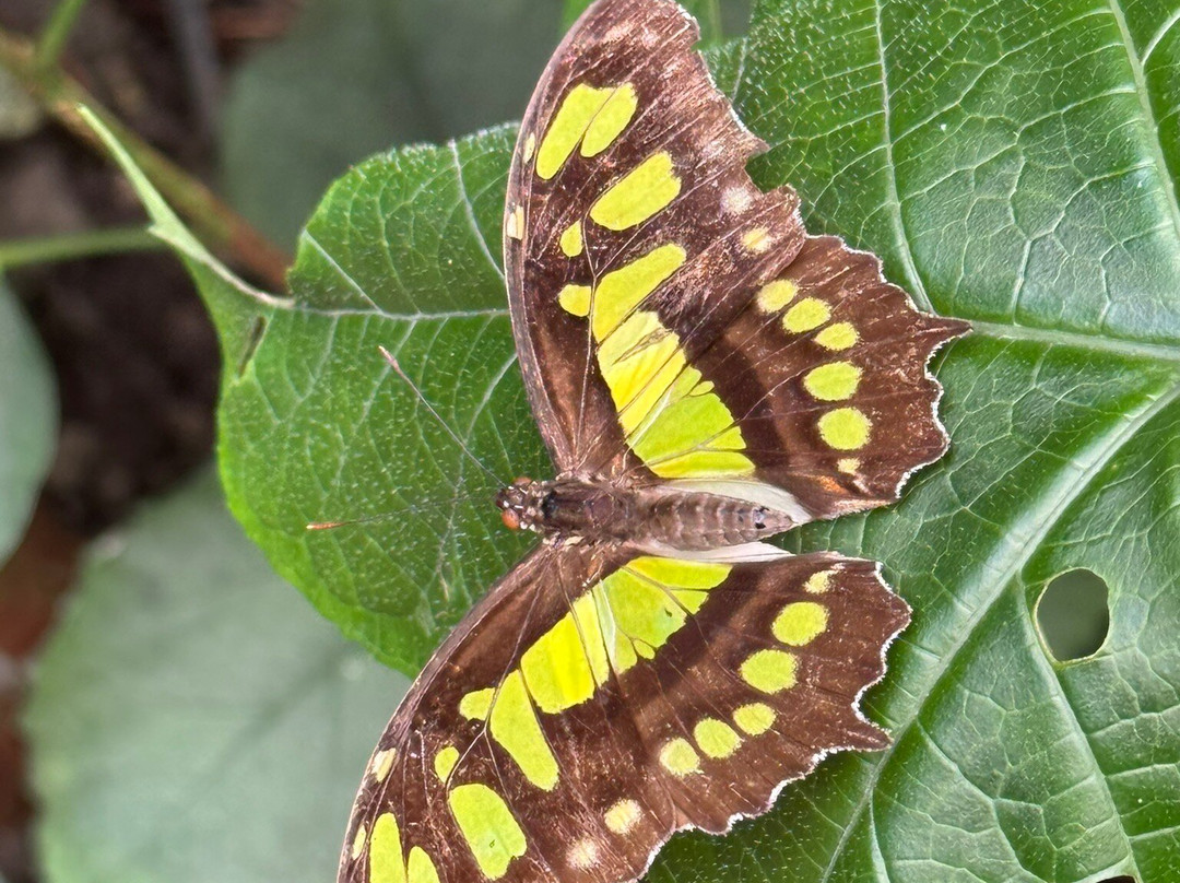 Jardin Botanique du Beau Pays-Marck必去景点