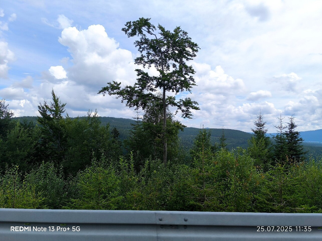 Großer Arber-Bayerisch Eisenstein必去景点