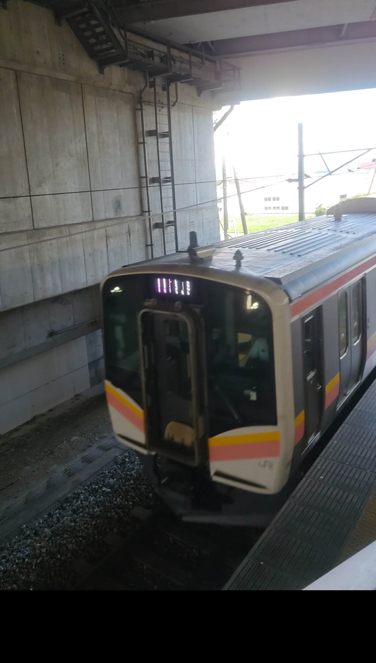 Yahikokan Myogaya-官方