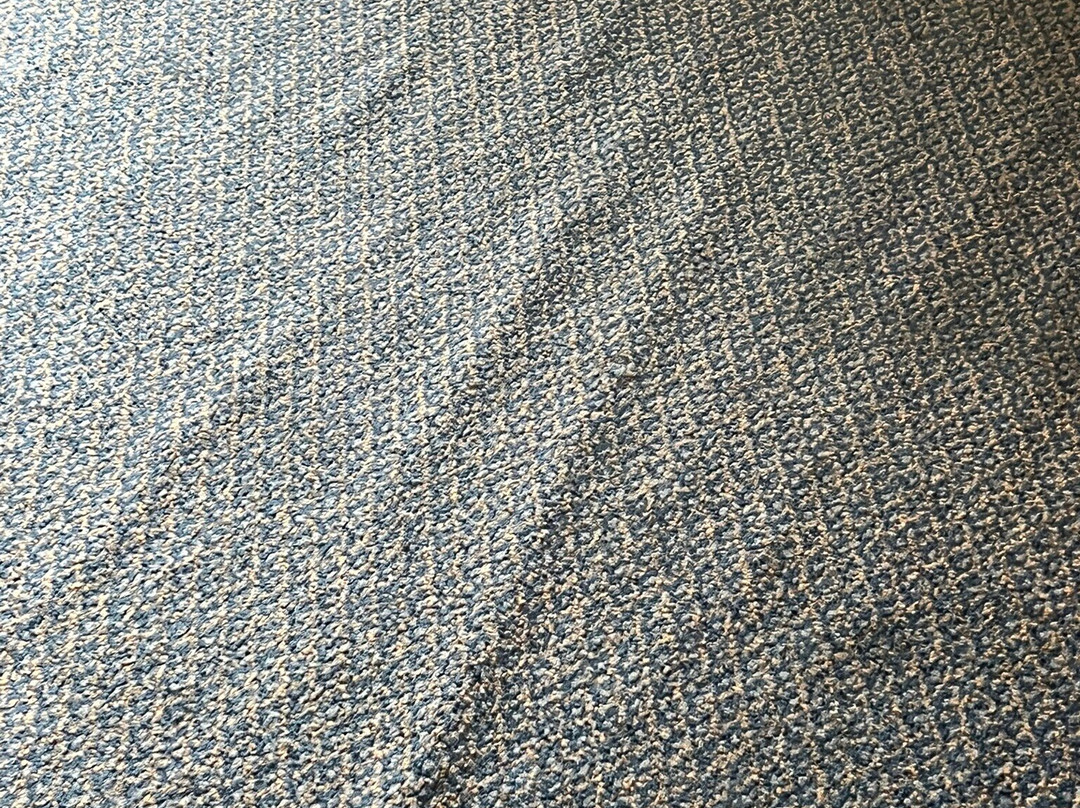 Quality Inn & Suites主图