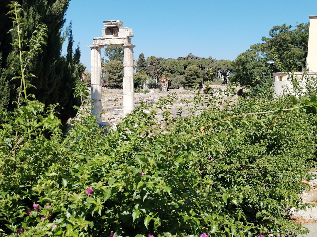Eleftherias Square-Kos Town必去景点