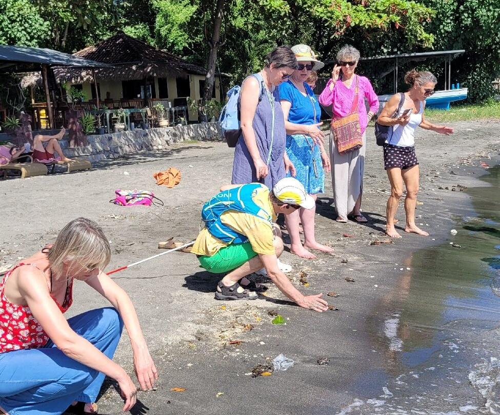 The Turtle Project-佩母德兰必去景点