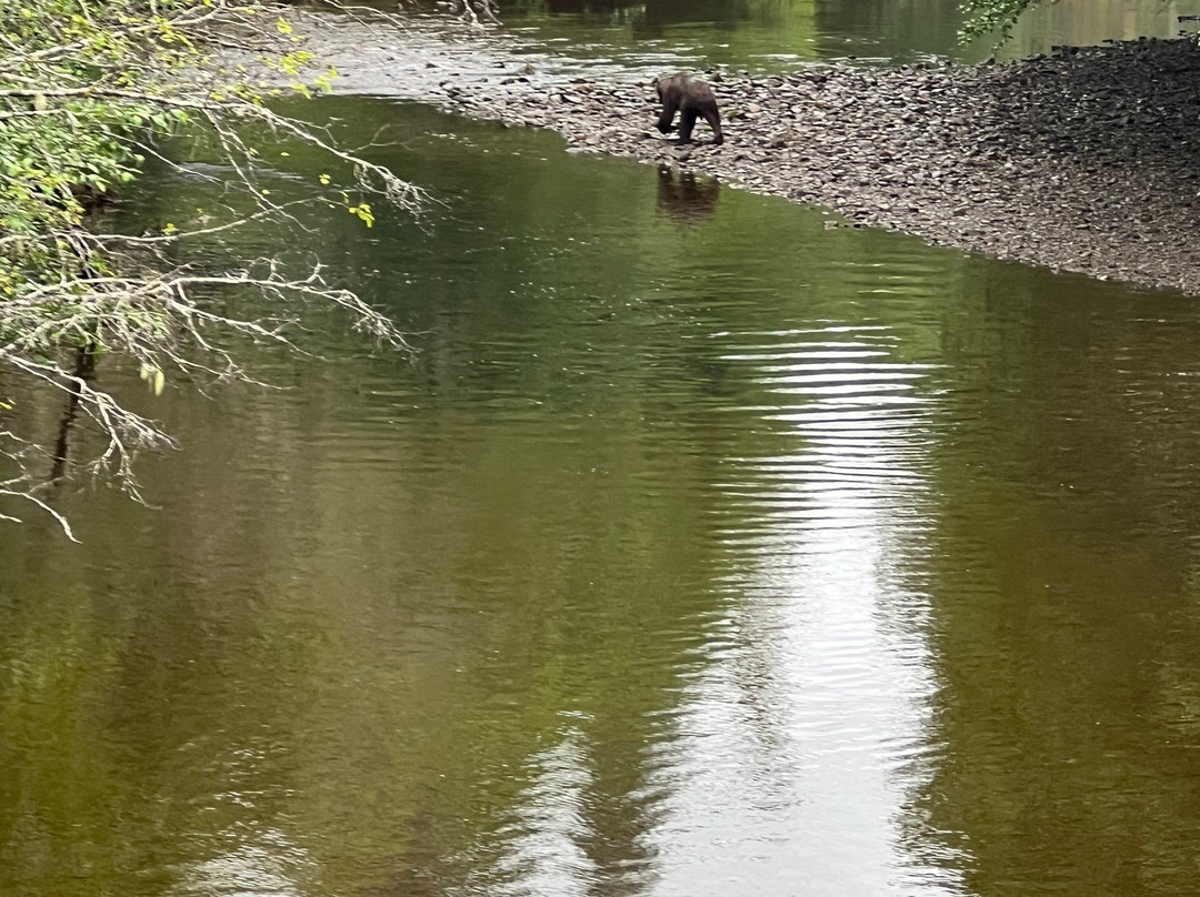 Hoonah ATV Tours-胡纳必去景点