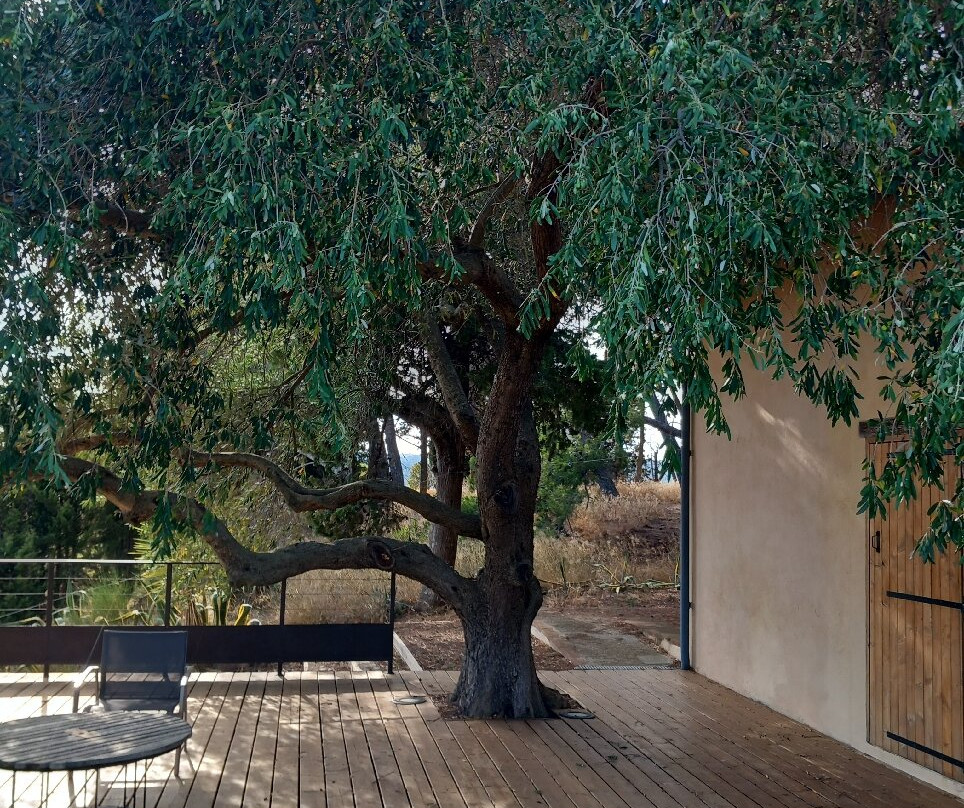 Chateau La Sabine主图