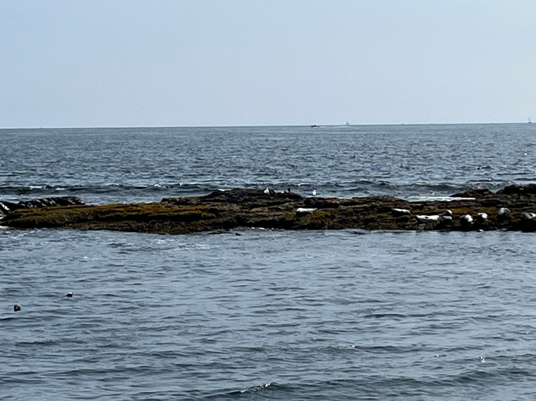 Hay-Val Charters-Southport必去景点